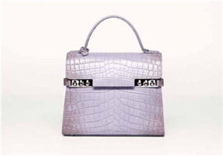 delvaux2017春夏系列包包款式有哪些_好看嗎？
