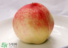 毛桃不能和什么一起吃？毛桃和什么相克？