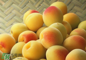 杏和雞蛋能一起吃嗎？杏子和雞蛋能一起吃嗎？