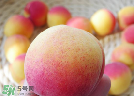 杏的熱量高嗎？一個(gè)杏的熱量是多少？