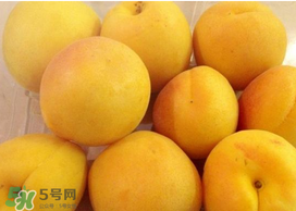 杏吃多了會怎么樣？杏吃多了會不會上火?