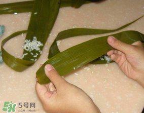 一斤米能包幾個粽子？一斤米能包多少粽子？