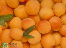 杏怎么催熟？杏怎么放熟的快？