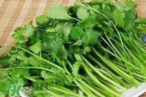 香菜洗腎有科學(xué)依據(jù)么？香菜能洗腎是真的嗎？