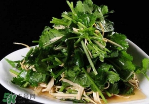 香菜是什么菜？香菜是陽(yáng)痿草嗎？