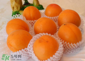 杏子可以放冰箱嗎？杏子可以冷藏嗎？