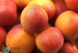 新鮮杏子可以放冰箱嗎？新鮮杏子怎么保存？
