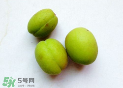 青杏怎么催熟？青杏怎么變黃？