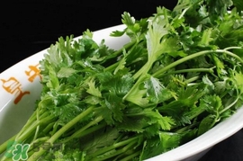 香菜是回奶的嗎？香菜是回奶還是下奶