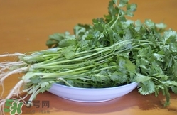 香菜是寒性食物嗎？香菜是熱性還是涼性？