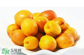 杏和荔枝能一起吃嗎？杏和荔枝一起吃會中毒嗎？