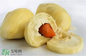 杏和榴蓮能一起吃嗎？榴蓮和杏能一起吃嗎？