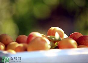 杏子好吃嗎？杏子可以多吃嗎？
