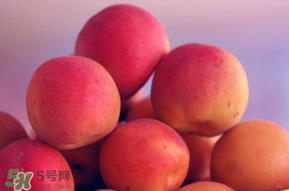 杏子好吃嗎？杏子可以多吃嗎？