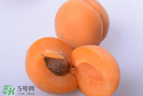 杏子好吃嗎？杏子可以多吃嗎？