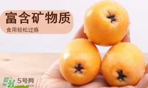 一歲寶寶可以吃枇杷嗎？一歲寶寶吃枇杷注意事項