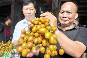 黃皮好吃嗎？黃皮是什么味道？