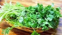 香菜是寒性食物嗎？香菜是熱性還是涼性？