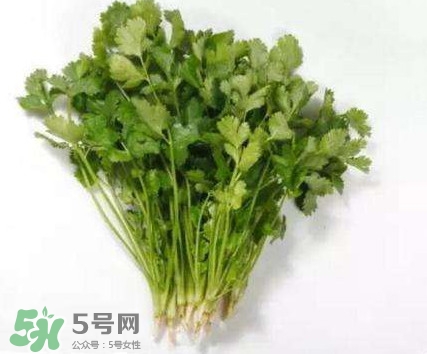 香菜洗腎有科學(xué)依據(jù)么？香菜能洗腎是真的嗎？