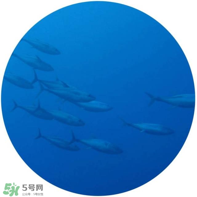 lululun plus面膜怎么樣？lululun plus面膜哪款好