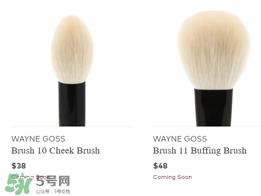 wayne goss是什么牌子？wayne goss化妝刷怎么樣？