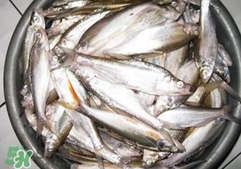 翹殼是什么魚？翹殼魚多少錢一斤2017？