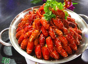 油燜大蝦吃哪些部位？怎么正確吃油燜大蝦？