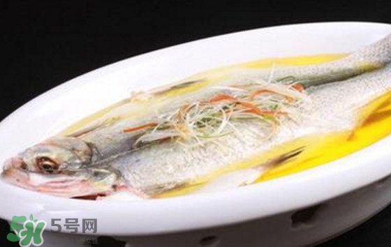 孕婦可以吃白條魚嗎？白條魚孕婦能吃嗎？