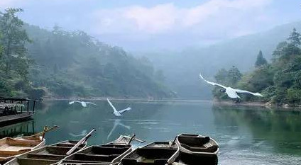 馬口魚能養(yǎng)殖嗎？馬口魚怎么養(yǎng)？