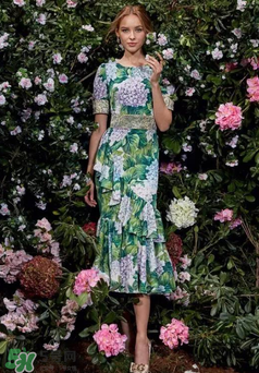 dolce gabanna杜嘉班納2017秋冬繡球花系列怎么樣_好看嗎？