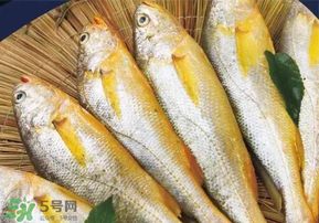 小黃魚長(zhǎng)大后會(huì)不會(huì)變成大黃魚？
