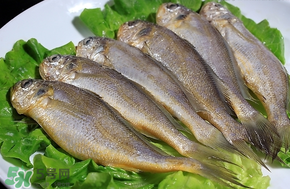 小黃魚長(zhǎng)大后會(huì)不會(huì)變成大黃魚？