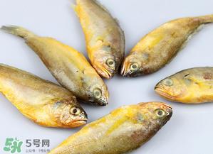 小黃魚不能和什么一起吃？小黃魚和什么相克？