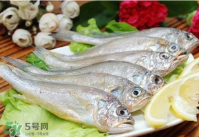 小黃魚多少錢一斤？野生小黃魚多少錢一斤？