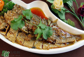 小黃魚可以養(yǎng)殖嗎？小黃魚能人工養(yǎng)殖嗎？