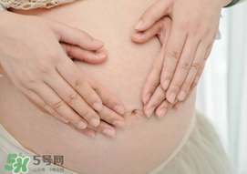 孕婦驅(qū)蚊植物推薦 孕婦能用植物驅(qū)蚊嗎？