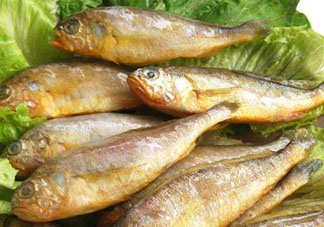 小黃魚多少錢一斤？野生小黃魚多少錢一斤？