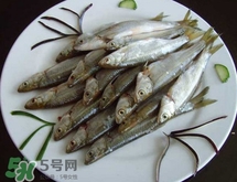 白條魚多少錢一斤2017？野生白條魚多少錢一斤