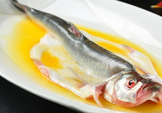 白條魚能長多大？白條魚可以長多大？