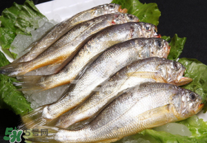 小黃魚不能和什么一起吃？小黃魚和什么相克？