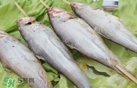 馬口魚怎么釣？馬口魚什么時(shí)候釣最好