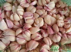 新蒜頭能曬干嗎？新鮮蒜頭曬干要多久