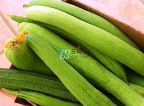 7月份吃什么蔬菜？七月份吃什么蔬菜？