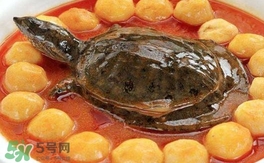 喝甲魚湯有什么好處？甲魚湯的功效與作用