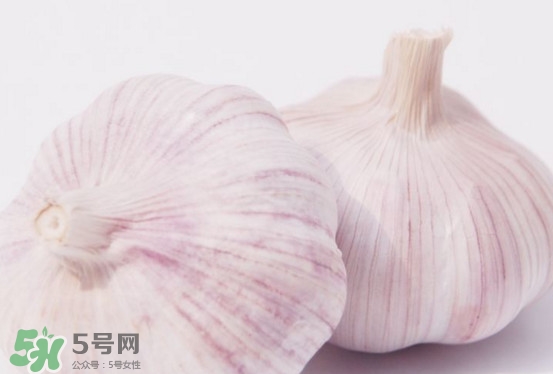 新蒜頭多少錢(qián)一斤2017？新蒜頭市場(chǎng)價(jià)格