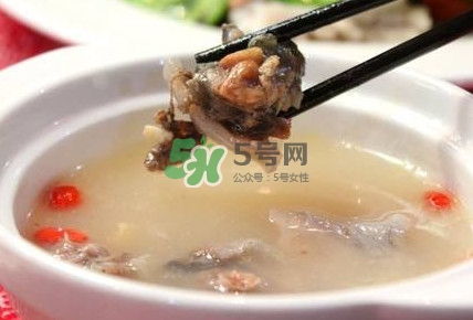 甲魚湯怎么做？甲魚湯的做法