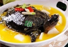 甲魚不能和什么一起吃？甲魚不能跟什么食物一起吃