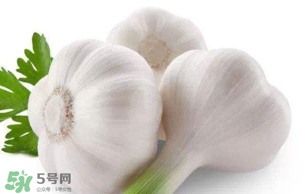 新蒜頭多少錢(qián)一斤2017？新蒜頭市場(chǎng)價(jià)格