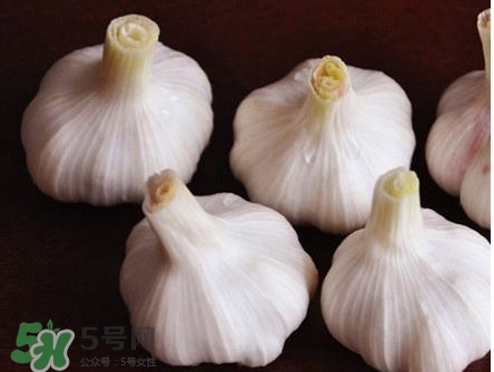 新蒜頭怎么弄成老蒜頭？新蒜頭和老蒜頭的區(qū)別