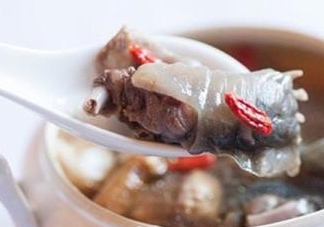 甲魚湯怎么做？甲魚湯的做法